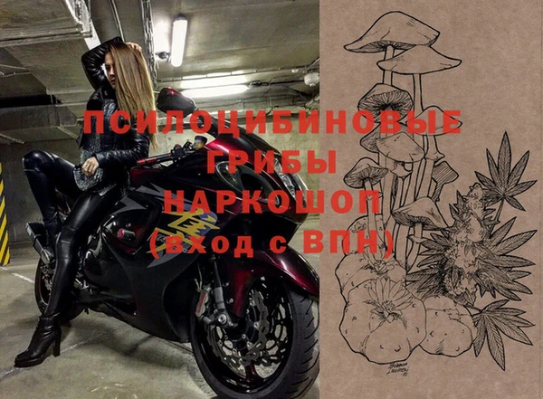 крисы Баксан