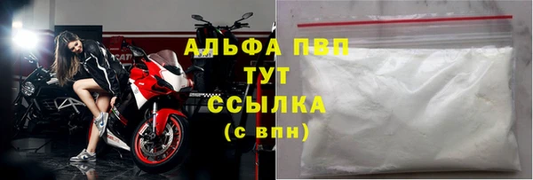крисы Баксан