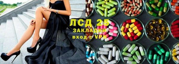 крисы Баксан