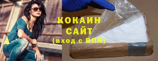 крисы Баксан