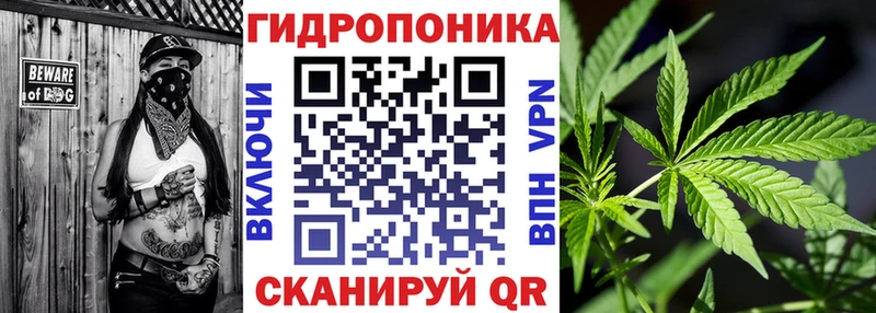 нарко площадка официальный сайт  KRAKEN tor  Новое Девяткино  Бошки марихуана Amnesia 